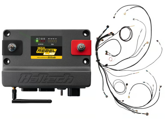 Haltech NEXUS Rebel LS - LS Gen IV
