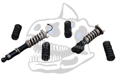 Evo X BC Racing Coilovers - BR Series | 2008-2015 Mitsubishi Evolution (B-20-BR)